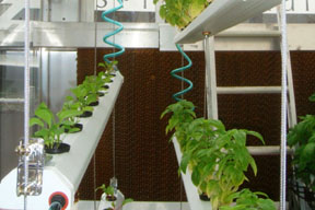 VIG prototype