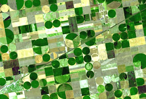 crop circles