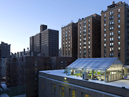 The Green House Project at PS 333