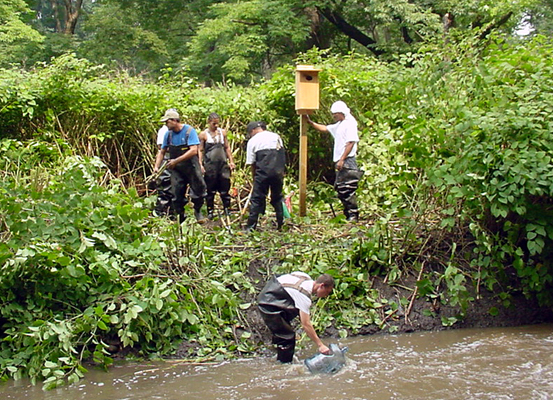 Bronx River House