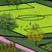 Bushwick Inlet Park Thumbnail