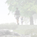Bushwick Inlet Park Thumbnail