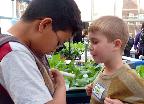The Greenhouse Project at PS 333