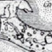 Stillwell Avenue Station Thumbnail