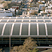Stillwell Avenue Station Thumbnail