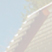 Willow House Thumbnail